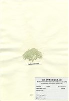 藏品(細粉枝藻)的圖片